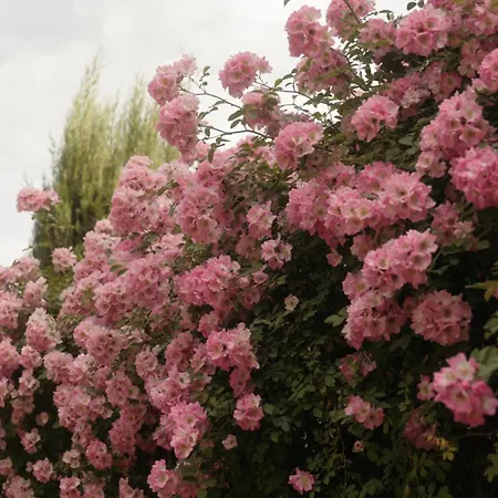 La Reserve Restaurant Hotel Albi