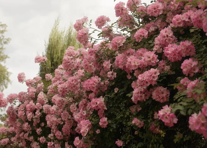 La Reserve Restaurant Hotel Albi