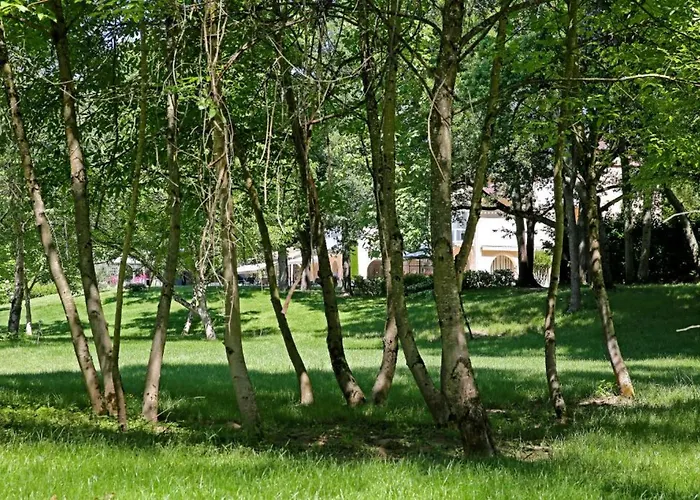 Hotel La Reserve Restaurant 5*